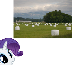 Size: 1283x1163 | Tagged: safe, rarity, pony, unicorn, female, horn, mare, marshmallow, meta, photo, solo