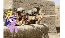 Size: 1280x752 | Tagged: safe, derpibooru import, edit, twilight sparkle, irl, military, photo, ponies in real life