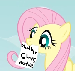 Size: 324x309 | Tagged: safe, fluttershy, pegasus, pony, blue eyes, exploitable meme, female, fluttershy's note meme, mare, meme, mouth hold, note, pink mane, simple background, solo, wings, yellow coat