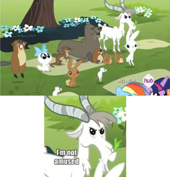 Size: 720x749 | Tagged: safe, derpibooru import, screencap, angel bunny, applejack, rainbow dash, twilight sparkle, twilight sparkle (alicorn), alicorn, beaver, earth pony, goat, mouse, otter, pegasus, pony, sea lion, seal, squirrel, filli vanilli, caption, some goats don't like fluttershy, unamused