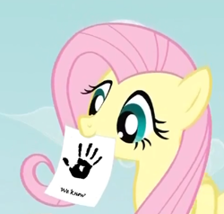 Size: 324x309 | Tagged: safe, fluttershy, pegasus, pony, blue eyes, dark brotherhood, dovahshy, exploitable meme, female, fluttershy's note meme, mare, meme, mouth hold, pink mane, simple background, skyrim, solo, the elder scrolls, wings, yellow coat