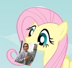 Size: 324x309 | Tagged: safe, fluttershy, pegasus, pony, blue eyes, exploitable meme, female, fluttershy's note meme, mare, meme, mouth hold, patrick bateman, pink mane, simple background, solo, wings, yellow coat