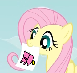 Size: 324x309 | Tagged: safe, fluttershy, pegasus, pig, pony, blue eyes, exploitable meme, female, fluttershy's note meme, mare, meme, mouth hold, pink mane, simple background, solo, wings, yellow coat