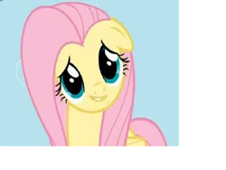 Size: 800x600 | Tagged: safe, fluttershy, pegasus, pony, female, inverted mouth, mare, pink mane, yellow coat