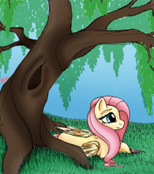 Size: 800x900 | Tagged: safe, artist:vampire-angel13, fluttershy, pegasus, pony, female, folded wings, looking away, mare, outdoors, prone, solo, tree, under the tree, wings