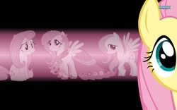 Size: 1280x800 | Tagged: safe, fluttershy, pegasus, pony, female, mare, pink mane, wallpaper, yellow coat