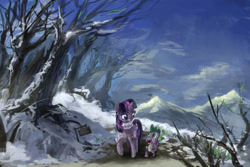 Size: 2048x1365 | Tagged: safe, artist:ruffu, derpibooru import, spike, twilight sparkle, dragon, pony, unicorn, scenery, snow, winter