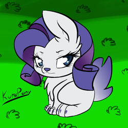 Size: 1000x1000 | Tagged: safe, artist:rainbowdrool, rarity, rabbit, 30 minute art challenge, rabbity, species swap