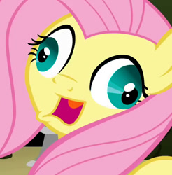 Size: 522x531 | Tagged: safe, fluttershy, pegasus, pony, derp, faic, female, inverted mouth, mare, open mouth