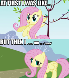 Size: 534x602 | Tagged: safe, edit, edited screencap, screencap, fluttershy, bird, pegasus, pony, friendship is magic, female, flying, frown, hill, image macro, looking back, mare, open mouth, outdoors, raised hoof, road, shy, smiling, solo, songbird, spread wings, standing, text, tree, wings