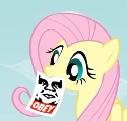 Size: 324x309 | Tagged: safe, fluttershy, pegasus, pony, andré the giant, blue eyes, exploitable meme, female, fluttershy's note meme, mare, meme, mouth hold, note, obey, pink mane, shepard fairey, simple background, solo, wings, yellow coat