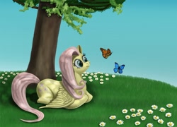 Size: 1000x721 | Tagged: safe, artist:zevironmoniroth, fluttershy, butterfly, pegasus, pony, female, mare, pink mane, yellow coat