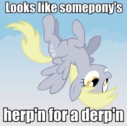 Size: 528x523 | Tagged: safe, derpy hooves, pegasus, pony, female, image macro, looks like somepony's, mare