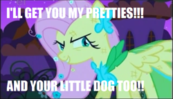 Size: 633x361 | Tagged: safe, edit, edited screencap, screencap, fluttershy, pegasus, pony, the best night ever, clothes, dress, evil grin, gala dress, grin, image macro, scratches, smiling, solo, the wizard of oz, wicked witch