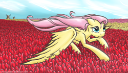 Size: 2000x1143 | Tagged: safe, artist:smockhobbes, fluttershy, pegasus, pony, flower, solo, tulip