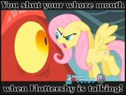 Size: 800x600 | Tagged: safe, artist:vengeancemanifesto, fluttershy, pegasus, pony, caption, image macro, the stare, vulgar