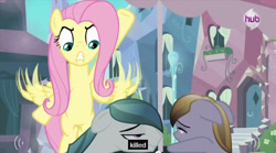 Size: 640x355 | Tagged: safe, screencap, amber waves, crystal arrow, crystal beau, fluttershy, crystal pony, pegasus, pony, the crystal empire, spoiler:s03, image macro, meme, youtube caption