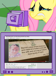 Size: 563x771 | Tagged: safe, fluttershy, pegasus, pony, exploitable meme, meme, sad, true story, tv meme