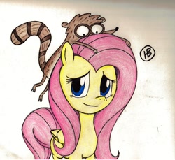 Size: 900x823 | Tagged: safe, artist:silversinner19, fluttershy, pegasus, pony, crossover, regular show, rigby