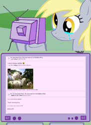 Size: 563x771 | Tagged: safe, derpy hooves, human, pony, crying, dance party, exploitable meme, hate, hoers, irl, meme, mlp arena, photo, sad, text, tv meme