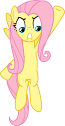 Size: 3087x5954 | Tagged: safe, artist:blueblitzie, fluttershy, pegasus, pony, simple background, transparent background, vector