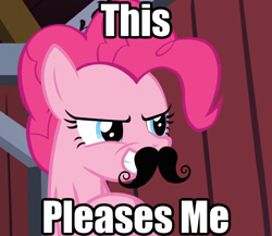 Size: 756x655 | Tagged: safe, pinkie pie, earth pony, pony, female, image macro, mare, moustache, pink coat, pink mane, reaction image