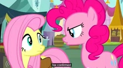 Size: 631x351 | Tagged: safe, screencap, fluttershy, pinkie pie, earth pony, pegasus, pony, putting your hoof down, youtube caption