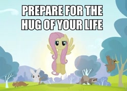 Size: 680x485 | Tagged: safe, edit, edited screencap, screencap, angel bunny, fluttershy, bird, duck, ferret, pegasus, pony, rabbit, squirrel, hurricane fluttershy, animal, bronybait, cropped, flutterhug, hug, image macro, incoming hug, lens flare