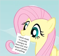 Size: 508x485 | Tagged: safe, fluttershy, pegasus, pony, blue eyes, calibri, exploitable meme, female, fluttershy's note meme, mare, meme, mod, mouth hold, pink mane, pretty cool guy, simple background, solo, wings, yellow coat