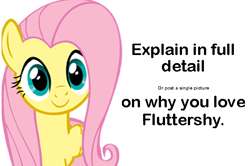 Size: 559x371 | Tagged: safe, fluttershy, pegasus, pony, female, love, mare, meta, pink mane, yellow coat