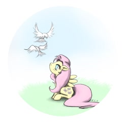 Size: 900x900 | Tagged: safe, artist:kiri-ri, fluttershy, bird, pegasus, pony, filly, solo