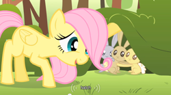 Size: 640x355 | Tagged: safe, screencap, fluttershy, pegasus, pony, rabbit, filly, youtube caption