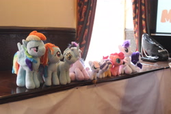 Size: 5184x3456 | Tagged: safe, artist:poshpete117, derpibooru import, lyra heartstrings, pinkie pie, rainbow dash, rarity, scootaloo, twilight sparkle, crocus armoura, irl, photo, plushie