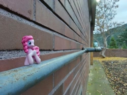 Size: 1280x960 | Tagged: safe, pinkie pie, blind bag, irl, photo, toy