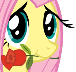 Size: 975x926 | Tagged: safe, artist:sociox, fluttershy, pegasus, pony, female, mare, mouth hold, no more ponies at source, rose, simple background, solo, transparent background, vector
