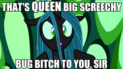 Size: 2560x1440 | Tagged: safe, edit, edited screencap, screencap, queen chrysalis, changeling, changeling queen, to where and back again, changeling kingdom, female, image macro, meme, solo, text, totally legit recap