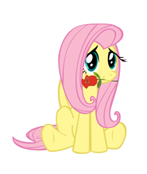 Size: 3000x3559 | Tagged: safe, artist:sociox, fluttershy, pegasus, pony, female, mare, mouth hold, no more ponies at source, rose, simple background, sitting, solo, transparent background, vector
