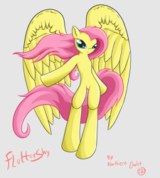 Size: 1024x1138 | Tagged: dead source, safe, artist:ac-whiteraven, fluttershy, pegasus, pony, semi-anthro, bipedal, female, impossibly large wings, large wings, mare, signature, simple background, solo, text, wings