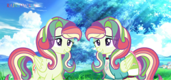 Size: 1024x479 | Tagged: safe, artist:shinybrony, derpibooru import, fluttershy, rainbow dash, pony, clothes, fusion