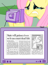 Size: 563x771 | Tagged: safe, fluttershy, pegasus, pony, exploitable meme, meme, tv meme