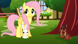 Size: 1280x720 | Tagged: safe, artist:flutterflyraptor, angel bunny, fluttershy, pegasus, pony, crossover, fiver, hazel, this will end in tears, vector, watership down