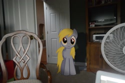 Size: 2464x1632 | Tagged: safe, derpy hooves, pony, irl, photo, ponies in real life, vector