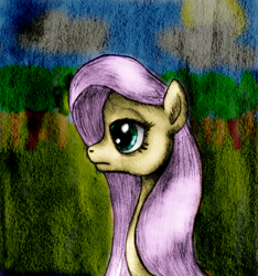 Size: 1140x1220 | Tagged: safe, artist:ksopies, fluttershy, pegasus, pony, colored, profile, traditional art