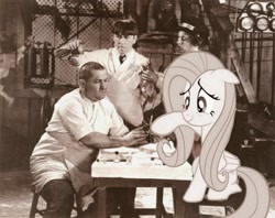 Size: 800x632 | Tagged: safe, fluttershy, pegasus, pony, black and white, grayscale, pampered, photo, the three stooges