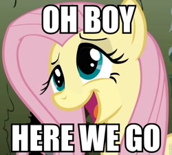 Size: 800x720 | Tagged: safe, edit, edited screencap, screencap, fluttershy, pegasus, pony, the return of harmony, canterlot hedge maze, cropped, image macro, meme, reaction image, solo