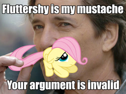 Size: 800x600 | Tagged: safe, fluttershy, human, pegasus, pony, female, filly, image macro, irl, irl human, photo