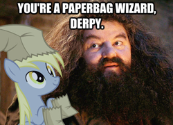 Size: 498x359 | Tagged: safe, derpy hooves, pegasus, pony, all caps, female, harry potter, image macro, impact font, mare, meme, paper bag, paper bag wizard, photo, rubeus hagrid