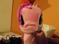 Size: 800x599 | Tagged: safe, pinkie pie, funrise, irl, photo, plushie, scrunchy face, toy