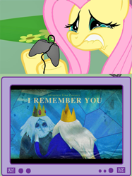 Size: 563x752 | Tagged: safe, fluttershy, pegasus, pony, adventure time, exploitable meme, ice king, meme, tv meme