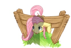 Size: 700x470 | Tagged: safe, artist:rigi, fluttershy, pegasus, pony, blushing, bondage, bondage furniture, crying, female, floppy ears, looking up, mare, open mouth, pillory, pixiv, shadow, simple background, solo focus, stocks, white background